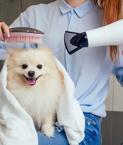 Deshedding